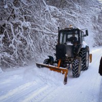 Борьба со снегом. :: Людмила Гулина