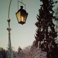 Светоч павловского парка... :: Tatiana Markova