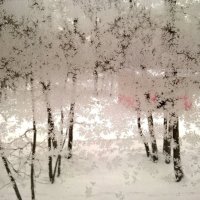 Узоры на окне,а за окном зима :: Елена Семигина