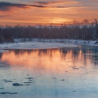 ... :: Евгений(Жора) Житников