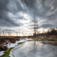 Осень :: Роман Грушевский