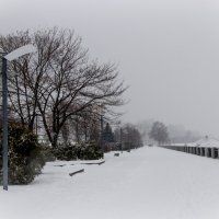 Зима на берегу реки :: Igor Ru 