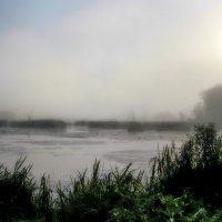 Туман над озером. :: Маргарита ( Марта ) Дрожжина