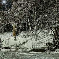 Дебри в городе :: Константин Бобинский