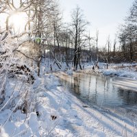 Зима на реке Птичь :: Александр Мезенцев