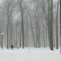 Туман :: ирина лузгина 