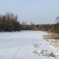 Зимний пейзаж. :: Милешкин Владимир Алексеевич 