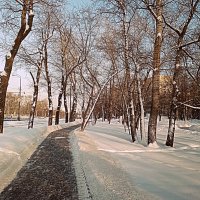 Вокруг дома моего. :: Владимир Драгунский