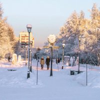 Яблоневая аллея под мощным слоем снега) :: Николай Зиновьев