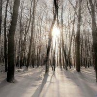 Про зимние рассветы.. :: Андрей Заломленков