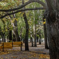 А нас во дворе :: Владимир Кроливец