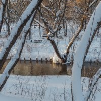 Зимние Пейзажи :: юрий поляков