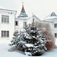 Под снежной мишурой! :: Татьяна Помогалова
