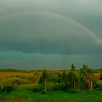 БЕЛОЗЕРСК. :: Виктор Осипчук