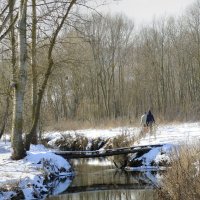 "Січень, Сонячний день на берегах Горині" :: Ростислав Кухарук