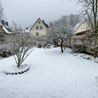 Снег в саду :: Heinz Thorns