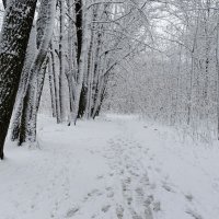 В городском парке после снегопада. :: Милешкин Владимир Алексеевич 