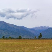 Уймонская долина. Катунский хребет :: Виктор Четошников