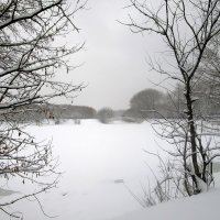 Измайловский пруд зимой :: Ольга Довженко