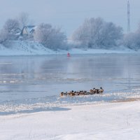 стужа лютая :: Алексей Меринов