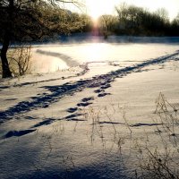 Зимнее утро. :: Николай Сидаш