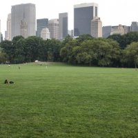 Central Park :: Юлия Тимофеева