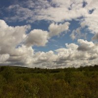 Пейзаж Емельяново :: Михаил Барамович