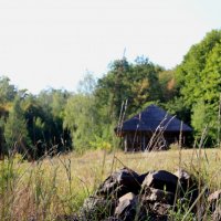 House in the forest :: Роман Комина