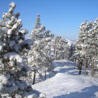 Первый снег :: Виктор Князев