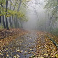 Осень :: Игорь Мукалов