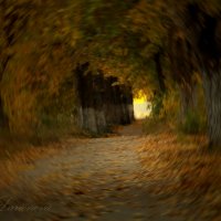Осень... :: Ira Larionova