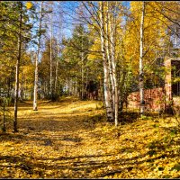 Осенние деньки, очей очарованье :: Василий Хорошев