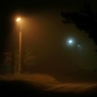 туман, ночь,улица,фонари... :: Олег Петрушов
