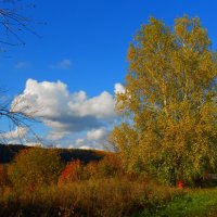 Осень :: Полина Николаева