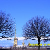 Петропавловский собор. Вид через Неву. :: Татьяна (Децепулька) Никитина