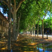 Barcelona after the rain :: Екатерина Семенова