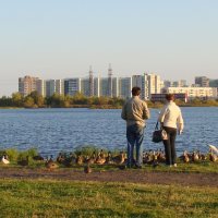 Вечер у городского озера :: Елена Перевозникова