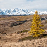 Осень на Северо-Чуйском хребте :: Алёна Бриц