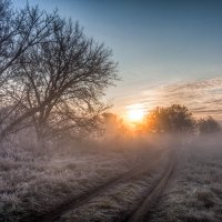 Морозное утро :: Владимир Костылев