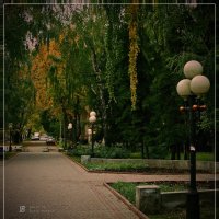 осенние цвета городских парков :: Юрий Береза