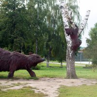 Есть медведи на улицах в России !!! :: Владислав Мишин