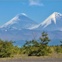 Разноцветная осень в долине Великанов :: Галина Горшенина