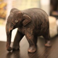 гоанский слоник :: Екатерина Коломиец