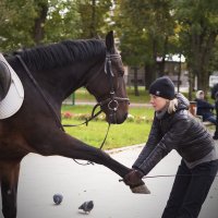 такой я лапы... :: Темновест Болотный