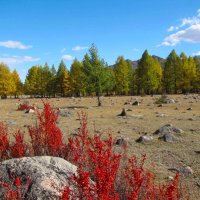 Краски осени.Тува :: Анна 