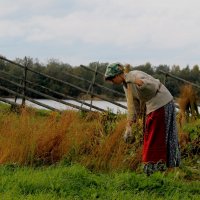 Работница :: Анастасия Волкова