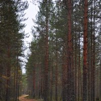 высказывайте замечания! :: Яна Абрамовская