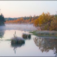 Тишина :: Александр 