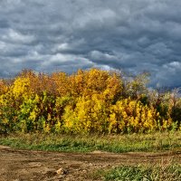 Осень :: Надежда Пелымская 