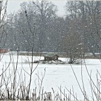 Снегопад и птичий домик. :: Валерия Комова